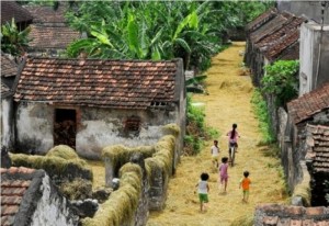 Phơi rơm