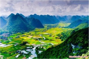 Tuyệt 2