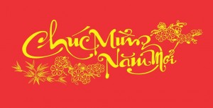 cuc-mung-nam-moi-2
