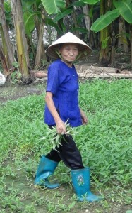 Sửa 2