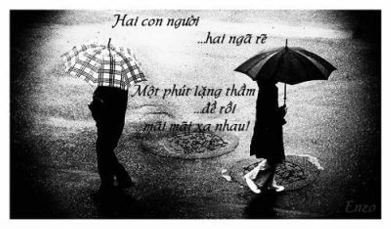 post img