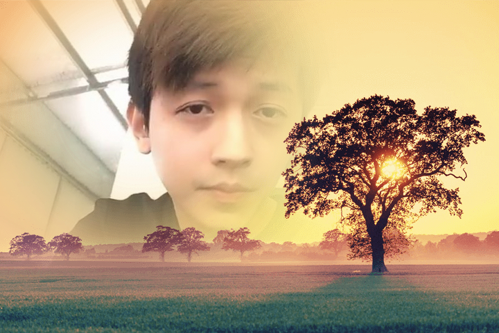 post img
