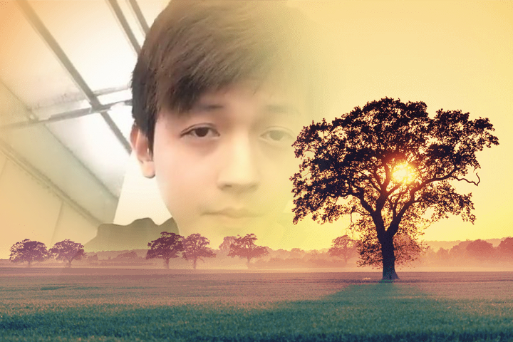 post img