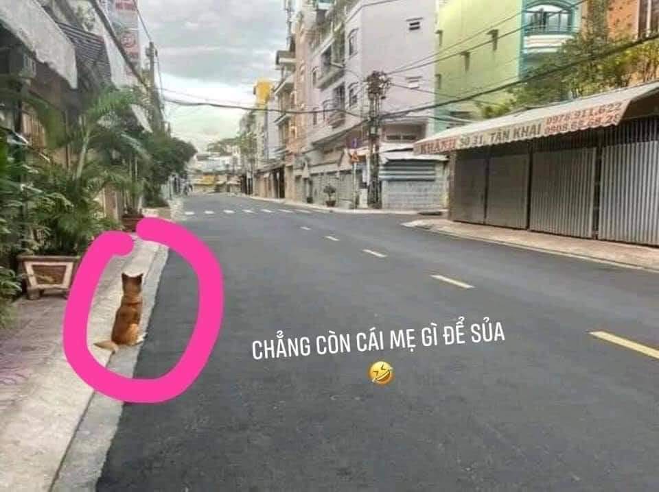post img