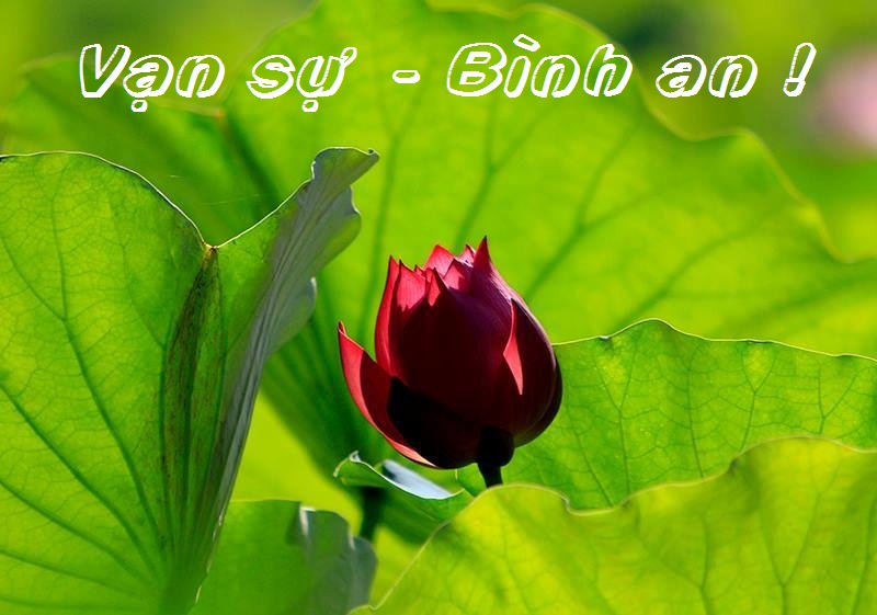 post img